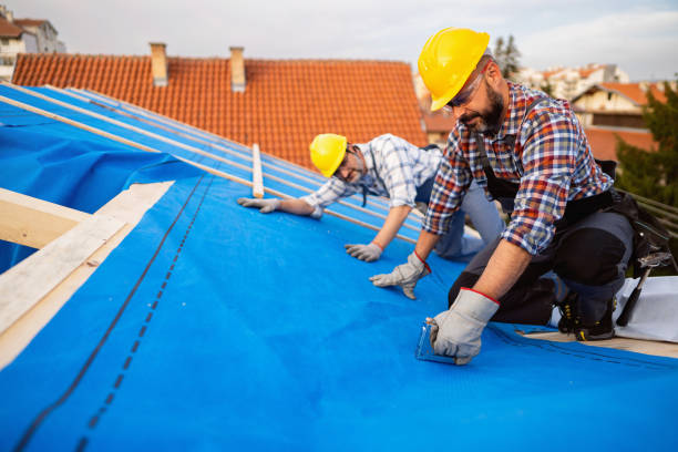 Roof Gutter Cleaning in Grayson, KY
